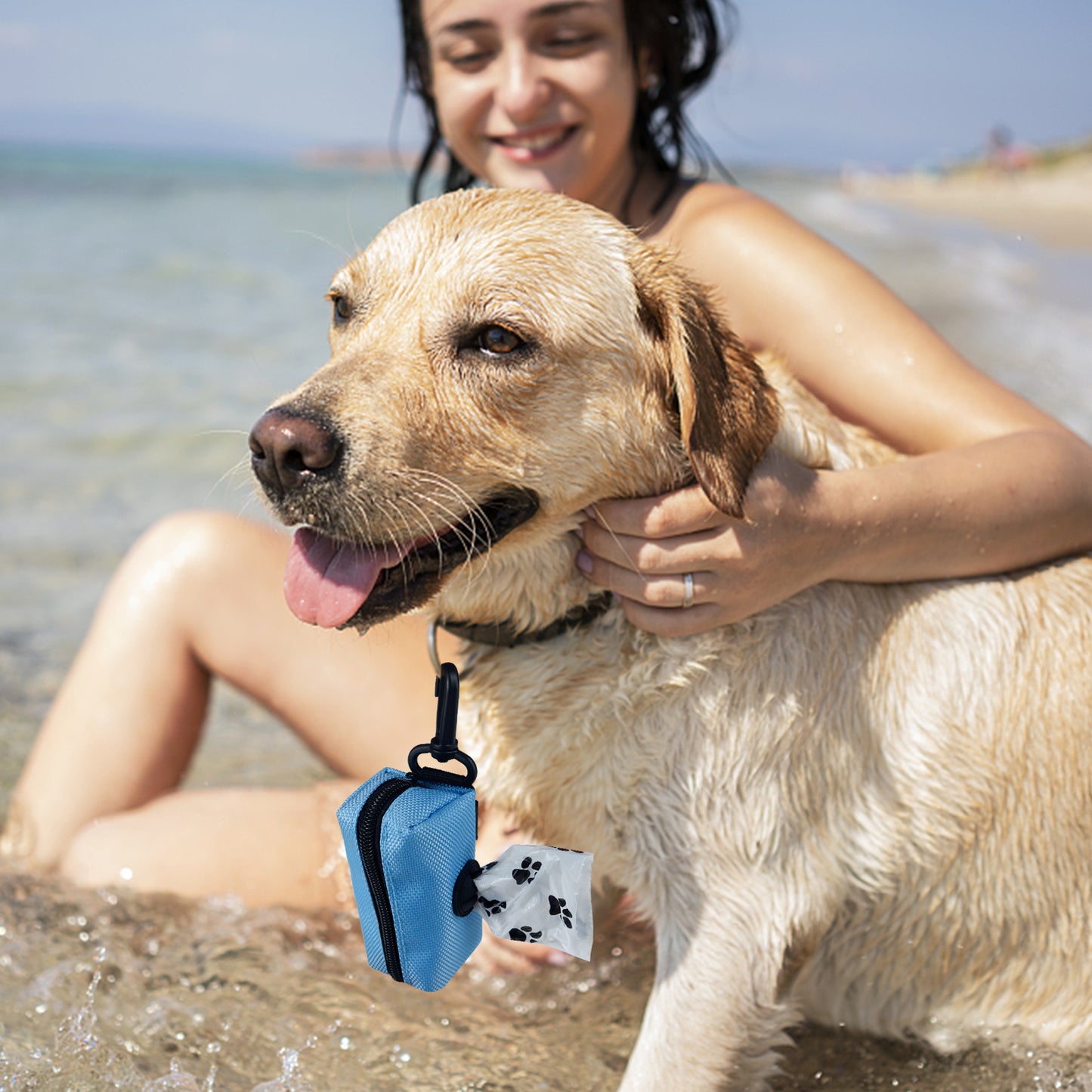 Aosbos Dog Poop Bag Holder for Leash, Lightweight Dog Poop Bag Dispenser with Velcro, Dog Walk Accessory Fits Any Dog Leash - Aosbos Direct